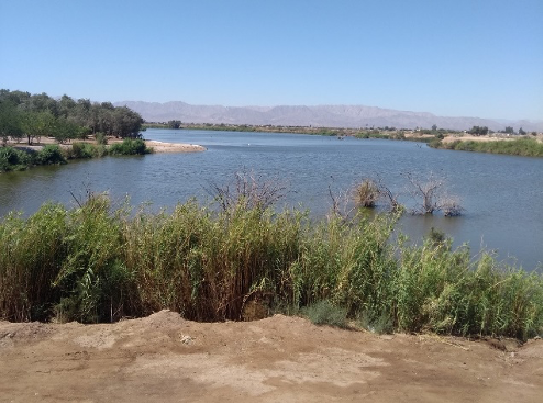 Sistema lagunar México-Xochimilco-Campestre. (Archivo de la autora).