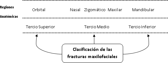 División del macizo facial. Adaptado de [19, 20]