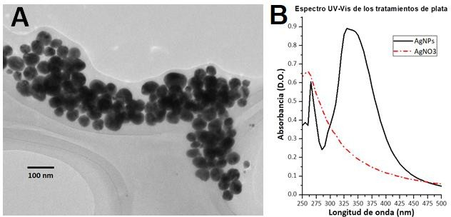 Caracterización de AgNPs. Micrografía TEM y perfil UV-Vis