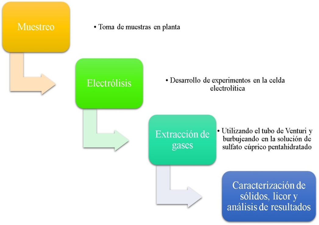 Diagrama de flujo del proceso experimental