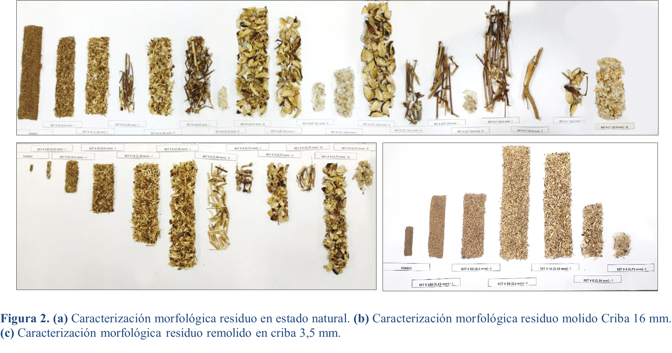 (a) Caracterización morfológica residuo en estado natural. (b) Caracterización morfológica residuo molido Criba 16 mm. (c) Caracterización morfológica residuo remolido en criba 3,5 mm.