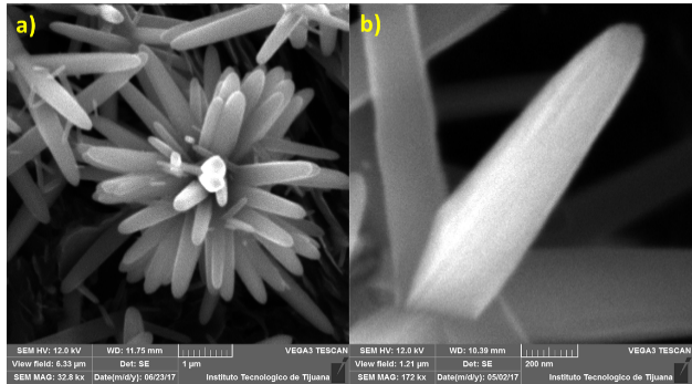 SEM micrographs of rutile phase TiO2 nano-flowers. a) TiO2 32.8 kx, b) TiO2 at 172 kx.