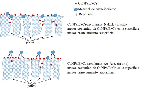 Representation of the permeability and surface fouling of the composites in situ.