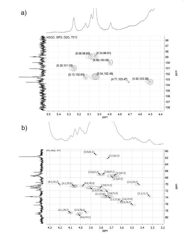 1H-13C HSQC spectroscopy a) anomeric region and b) saccharide ring region.
