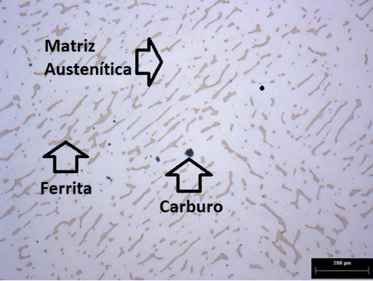 Micrografía de muestra de acero comercial CF3M.