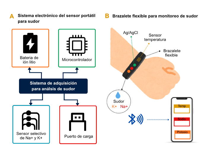 A) Sistema con electrodos de plata. B) Dispositivo flexible e inalámbrico con sensores de sudor. Adaptado de [17] y [11].