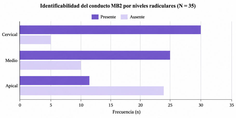 Identifiability and distribution of the MB2 canal by root levels (N = 35).