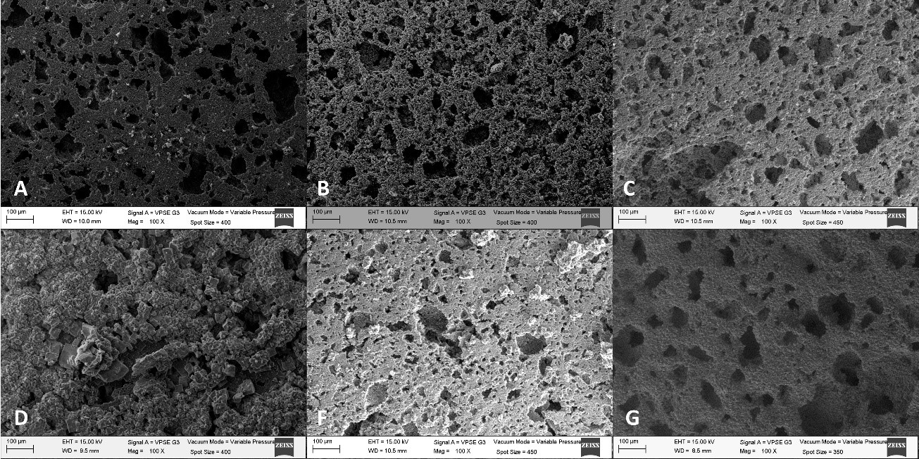 Micrographies of sHA scaffolds with different heat treatment for 2 hours at 15 KV of magnification. (A) ~150 ᴼC at 2 h (B) ~850 ᴼC at 2 h (C) ~1000 ᴼC at 2 h (D) ~150 ᴼC at 24 h (E) ~850 ᴼC at 24 h (F) ~1000 ᴼC at 24 h.