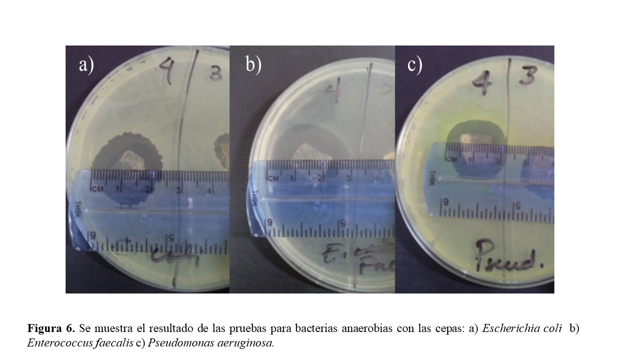 Se muestra el resultado de las pruebas para bacterias anaerobias con las cepas: a) Escherichia coli b) Enterococcus faecalis c) Pseudomonas aeruginosa.